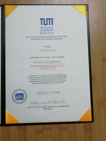 UniversityofChichester diploma(慕尼黑大学 diploma书)