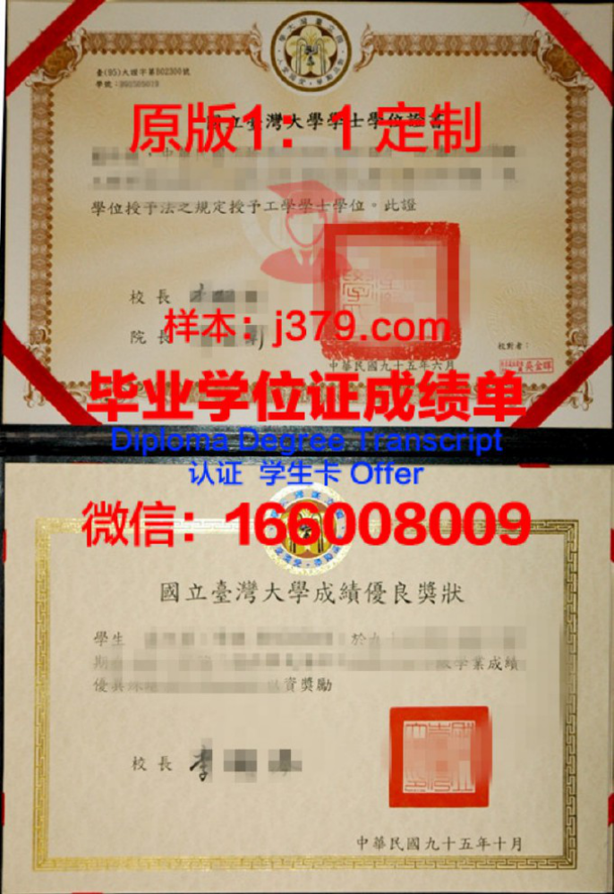 国立台湾大学，简称台大，成立于1928年，是台湾地区最著名的高等学府之一。作为一所有着悠久历史和卓越声誉的学府，国立台湾大学本科教育一直以来都备受瞩目。