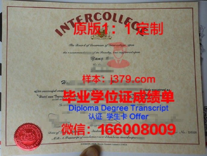 欧洲博士毕业：探索学术新高峰的旅程