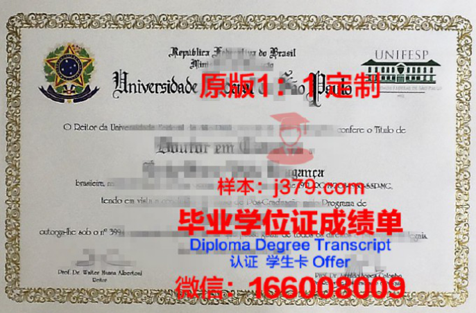 瓦加斯基金会圣保罗经济学院毕业证书:一份国际认可的学术荣誉