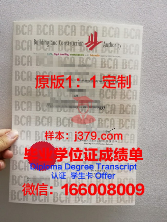 巴黎拉维莱特国立高等建筑学院毕业证书:一份建筑领域的黄金文凭