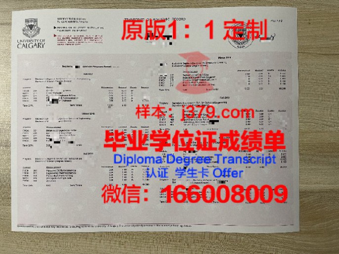 东北农业大学学士服：承载知识与荣誉的象征