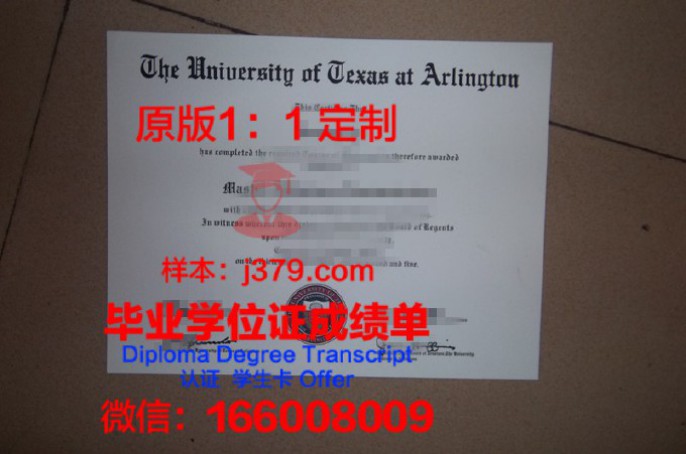 马大分校学位文凭定制：打造个性化教育的新篇章