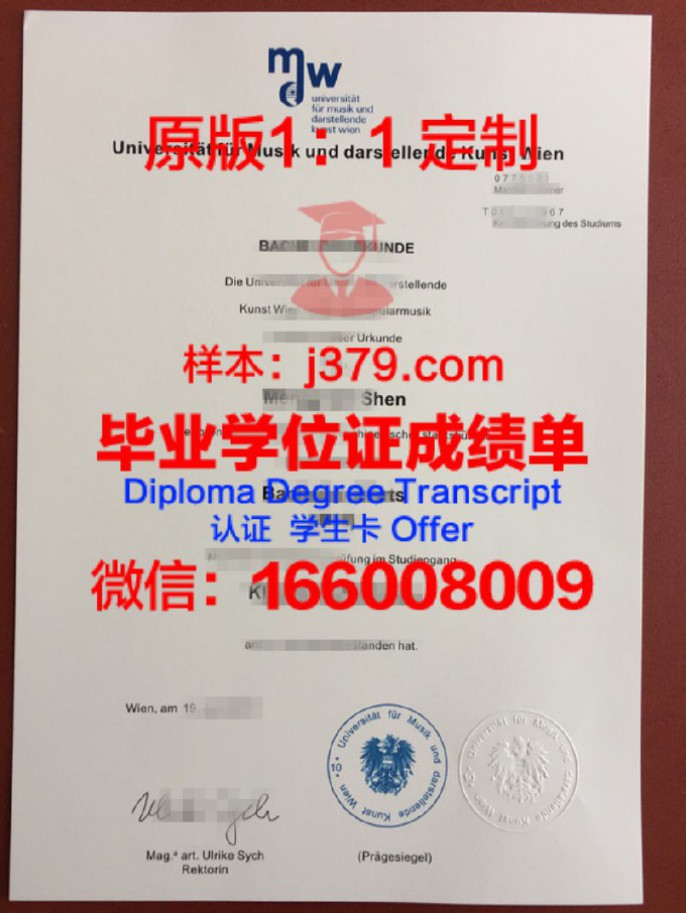 维也纳技术大学本科毕业证:开启欧洲高等教育的金钥匙