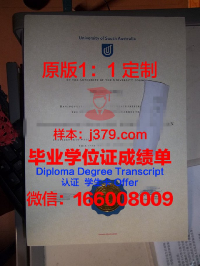 详解本科毕业证条件填写方法