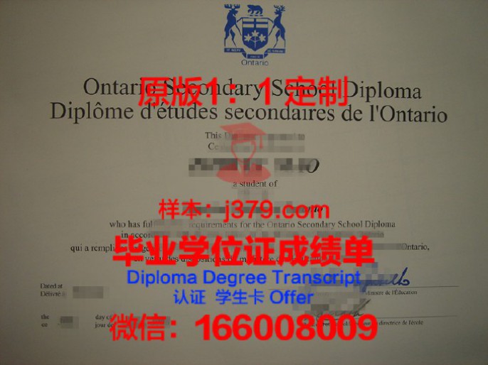 中大毕业照：本科时光的永恒定格