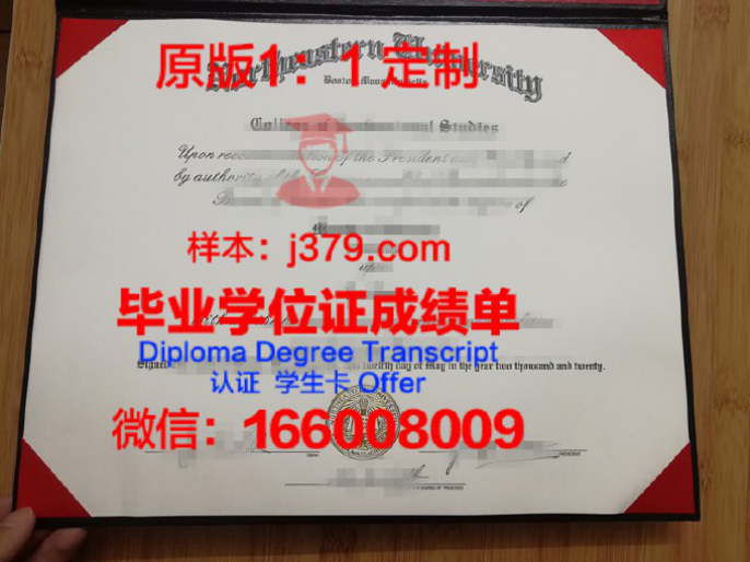 东北大学学位授予仪式:一场青春的荣耀与告别