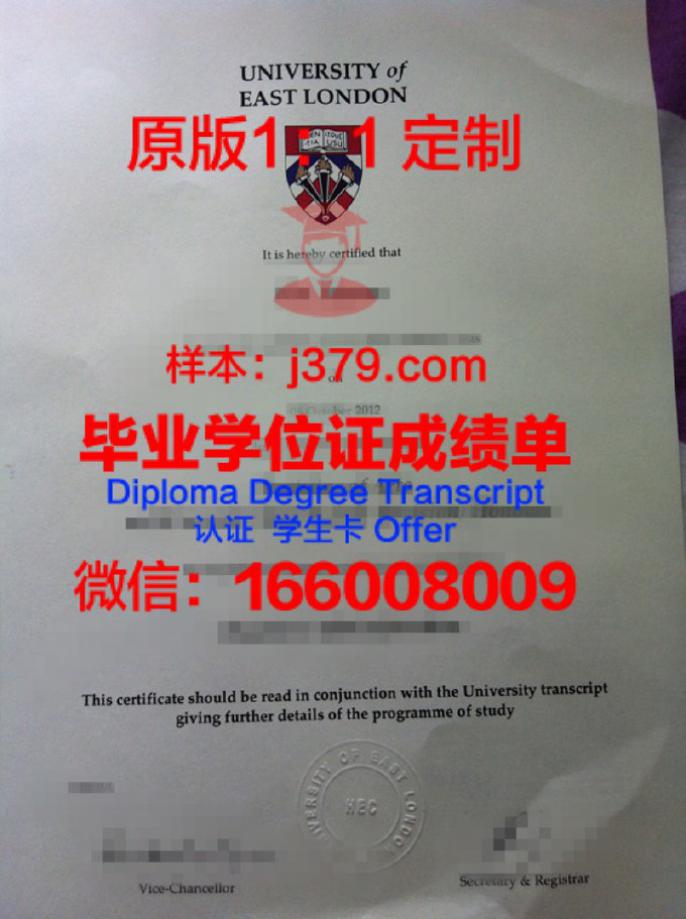 伦敦大学伦敦卫生与热带医学学院本科学位证：一份全球公共卫生领域的 golden ticket
