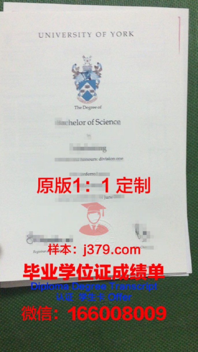 加拿大约克大学毕业证与成绩单:权威认证与学术成就的象征