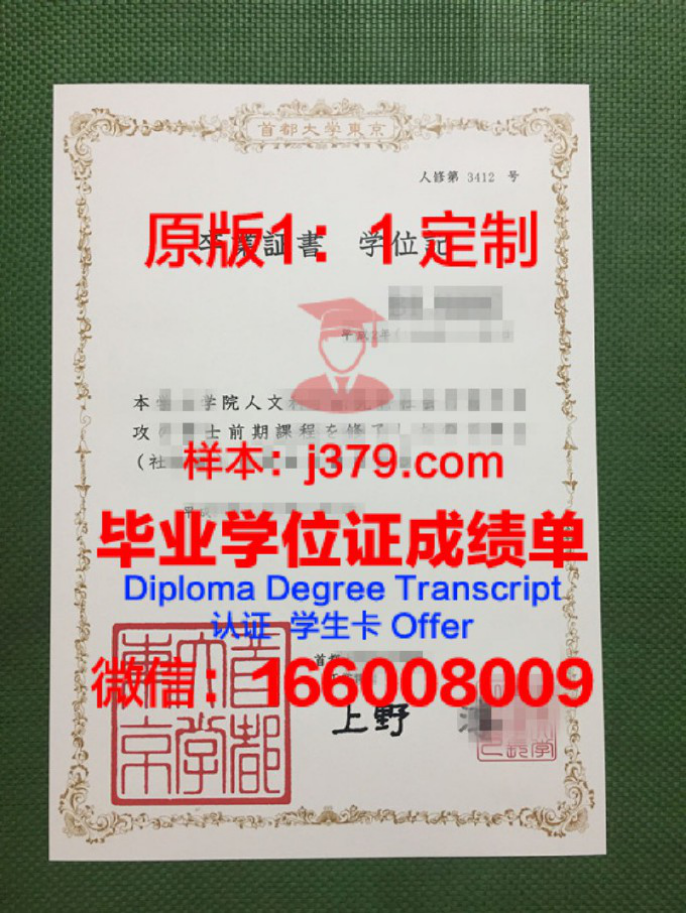 东京医科齿科大学留学费用一览