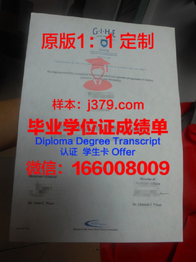 里昂国立应用科学学院学位成绩单定制:专业、严谨、可靠