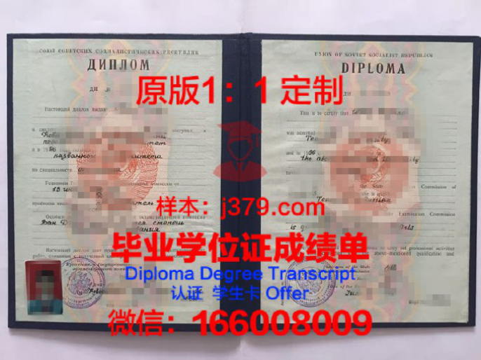 解码世界大学文凭含金量排名:谁主沉浮?