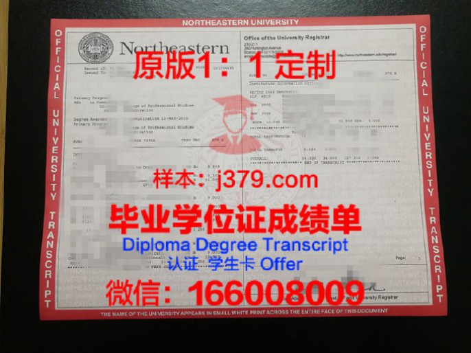 探索日本东北大学JYPE：融合传统与创新的教育典范