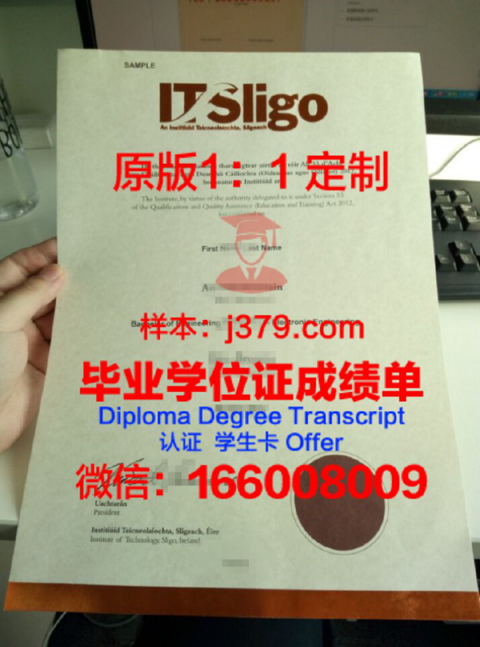 斯莱戈理工学院毕业证书——开启职场新篇章的钥匙