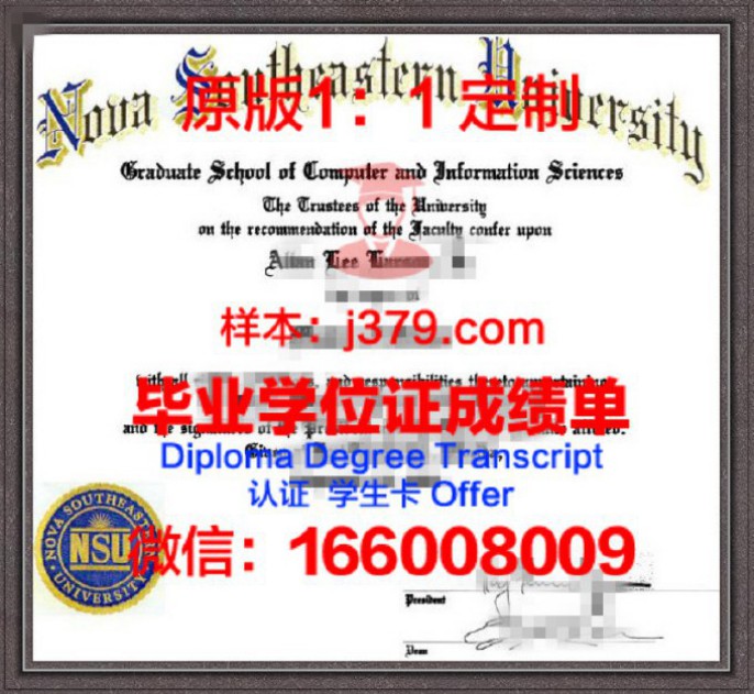 东南大学考研成绩查询攻略：详解查询流程与注意事项