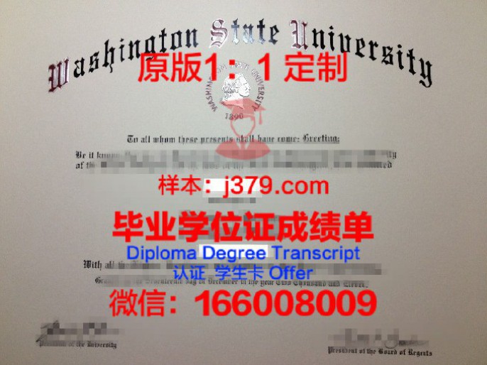 坎皮纳斯州立大学博士毕业证：一份承载荣誉与梦想的证书