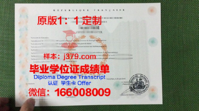 巴黎第七大学学位成绩单定制,打造个性化学术生涯