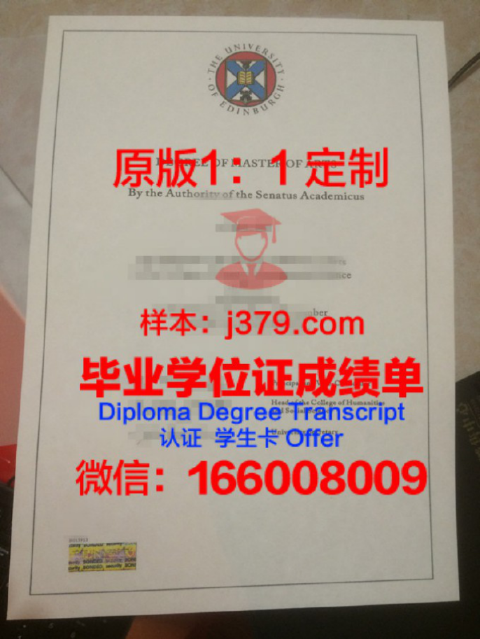 京都大学一年制硕士费用解析:留学成本与价值并存
