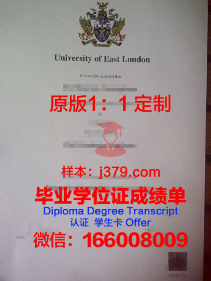 伦敦大学伦敦卫生与热带医学学院本科学位证：一份全球公共卫生领域的 golden ticket