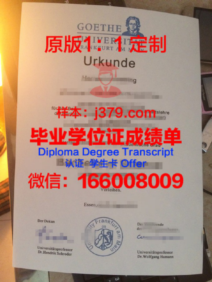 法兰克福造型艺术学院学位文凭定制的艺术魅力
