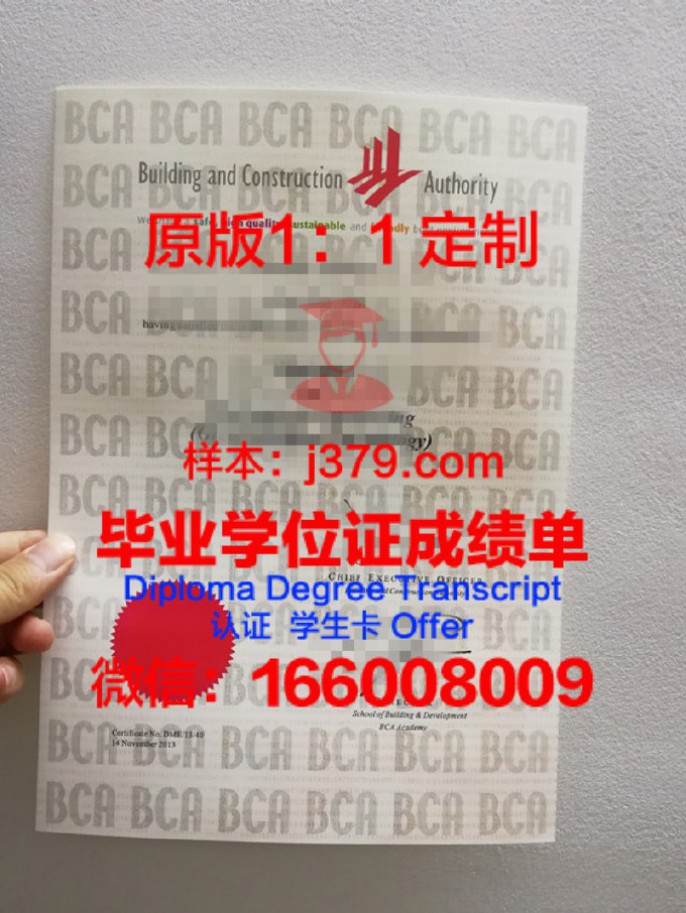 巴黎拉维莱特国立高等建筑学院毕业证书:一份建筑领域的黄金文凭