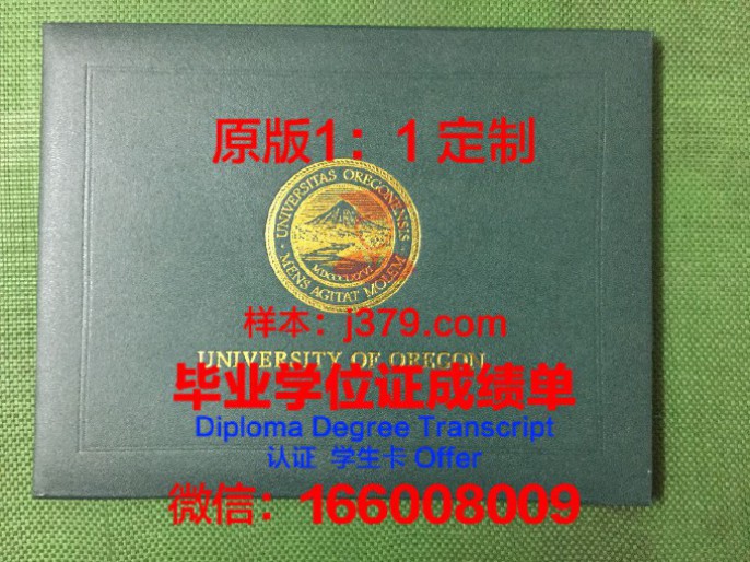 穆坦斯里亚大学录取通知书 OFFER 定制,一场专属你的未来启程
