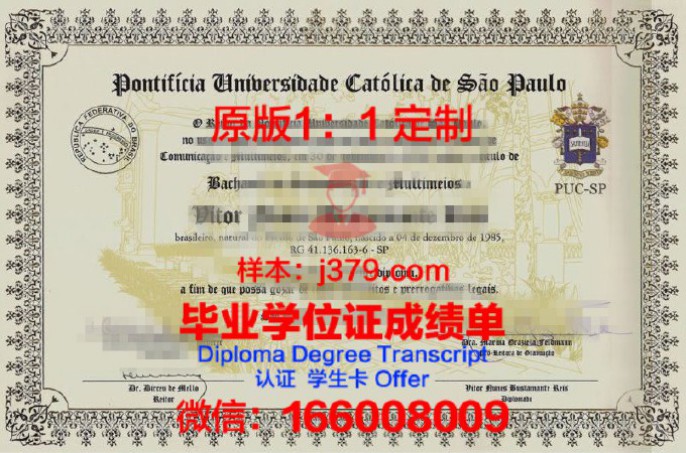 瓦加斯基金会圣保罗经济学院毕业证书:一份国际认可的学术荣誉
