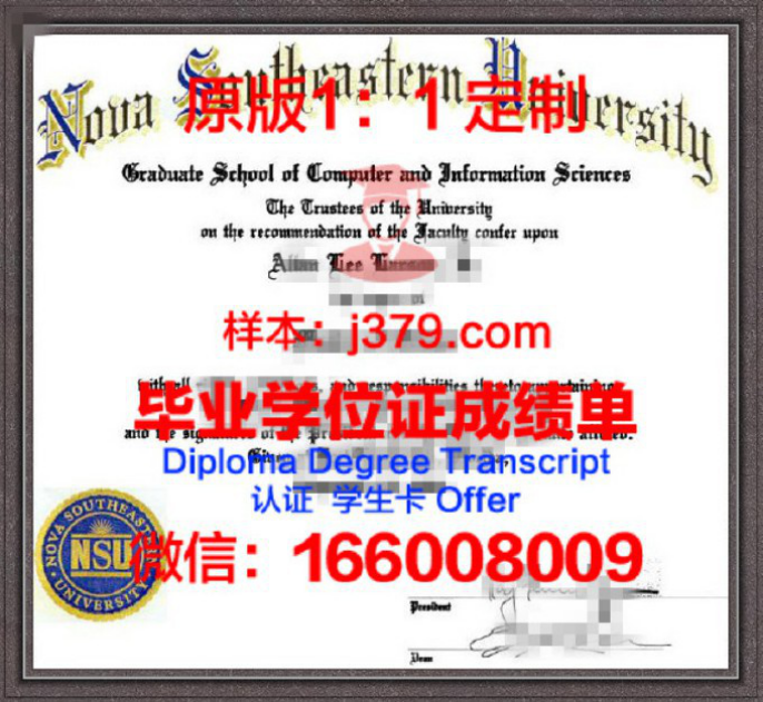 东南大学考研成绩查询攻略：详解查询流程与注意事项