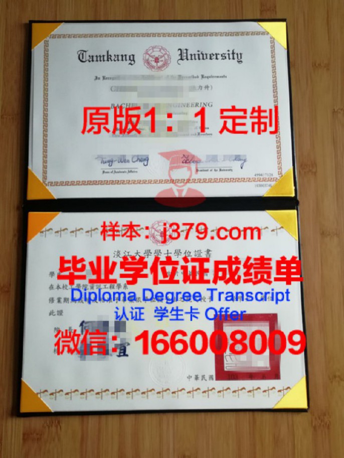 群长大学本科学位证:解锁新时代教育新篇章
