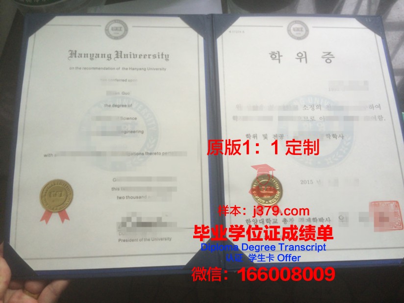 对外大博士学位证:跨越国界的教育成就认证