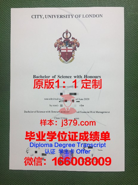 阿雷利亚诺大学博士毕业证：跨越国界的学术荣耀