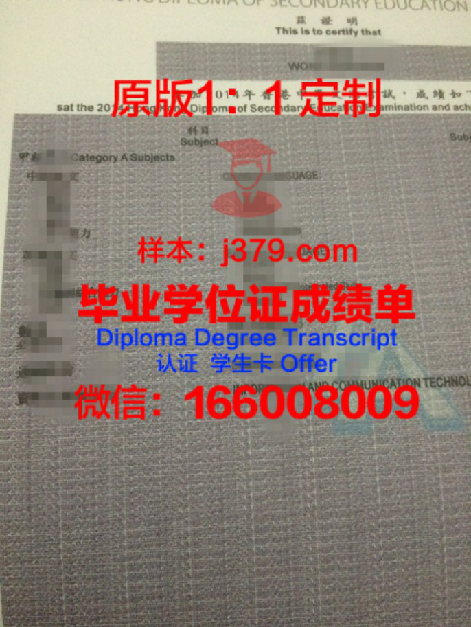 萨米大学学院毕业文凭