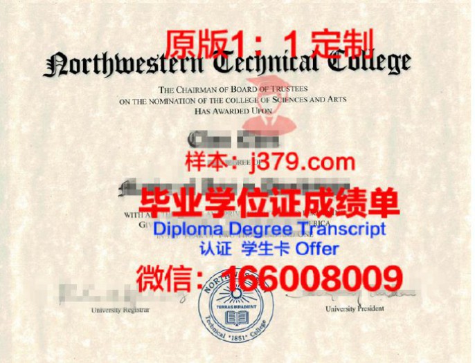 蒂鲁吉拉伯利国家技术学院成绩单:展现卓越教育成果的瑰宝