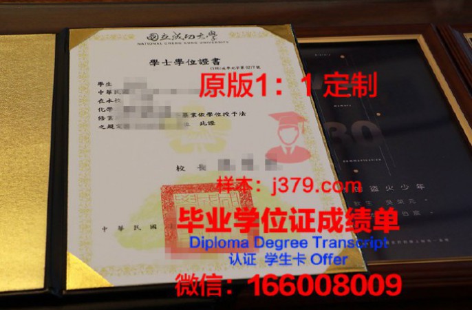 蒂鲁吉拉伯利国家技术学院本科学位证:开启未来职业大门的钥匙