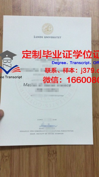 隆德大学成绩单需要邮寄吗(隆德大学学费)