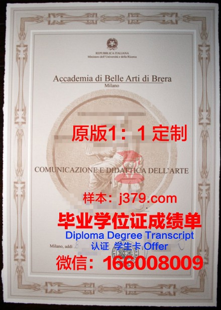 雷焦卡拉布里亚美术学院diploma证书(布雷拉美术学院国内承认吗)