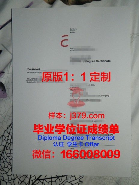富尔达应用技术大学毕业证翻译(德国富尔达应用技术大学)