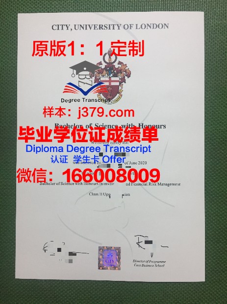 霍姆斯格兰技术与继续教育学院毕业证长什么样(h霍姆斯)