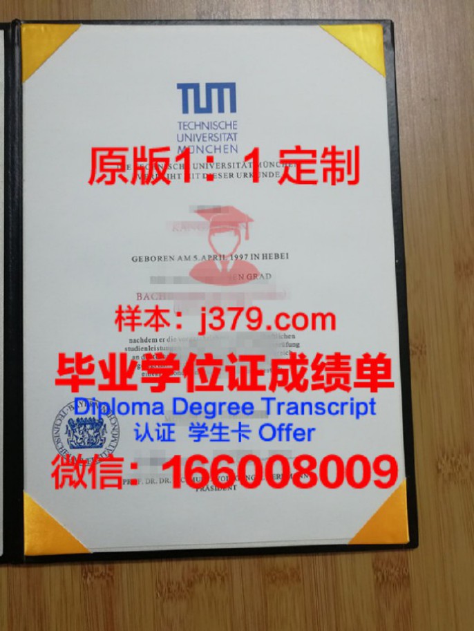 德国硕士学位等级:高质量教育的典范