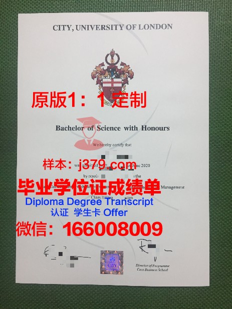 尼亚加拉大学毕业证成绩单(尼亚加拉学院在哪个城市)