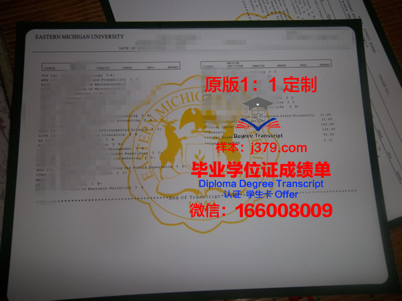 密歇根理工大学学位证书(密歇根大学全额奖学金是多少)