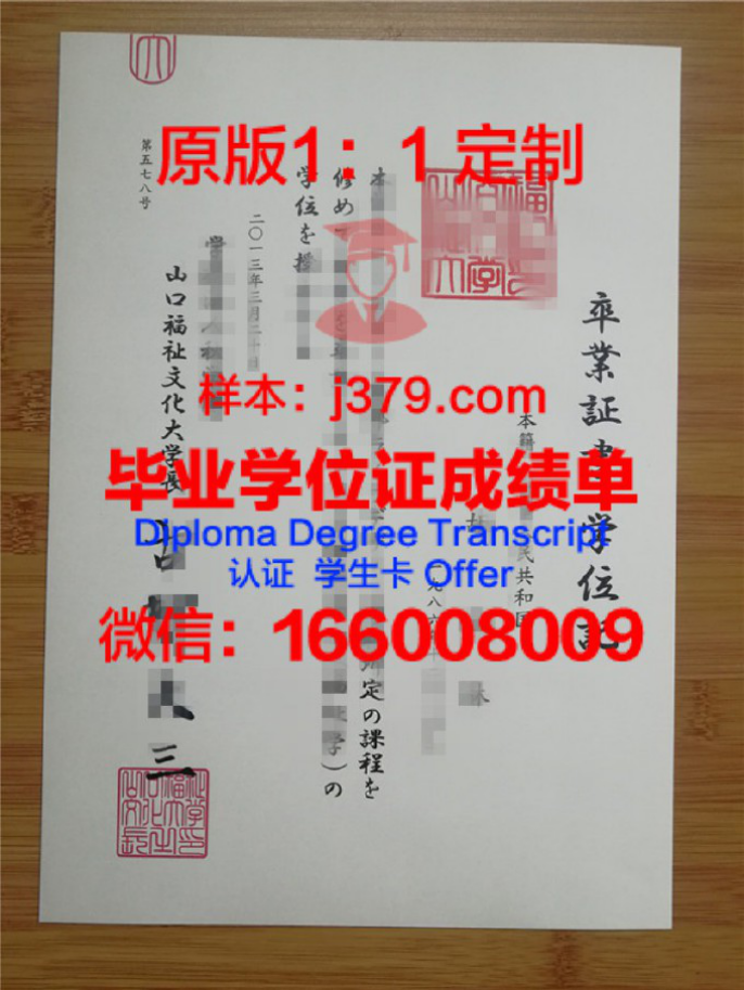新潟医疗福祉大学博士毕业证书：开启医疗福祉领域新篇章