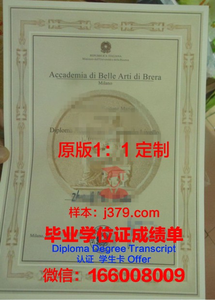 雷焦卡拉布里亚美术学院读多久才毕业证(布雷拉美院专业)