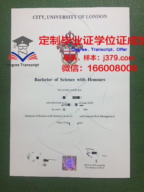 阿道夫·伊瓦涅斯大学本科毕业证：一份跨越国度的荣誉与梦想