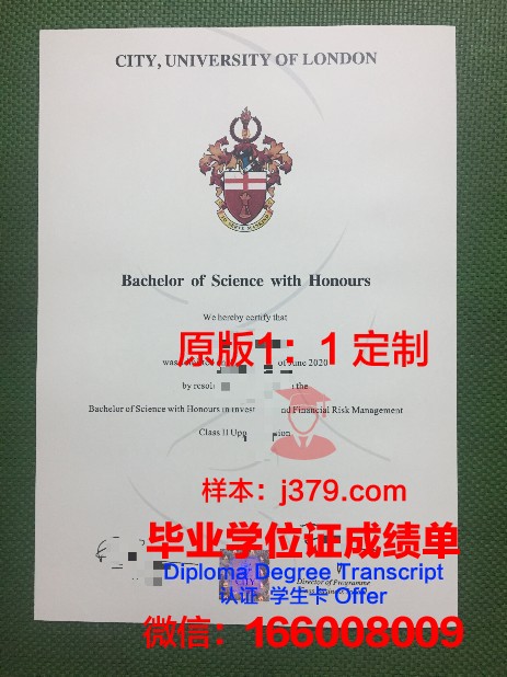 陶里亚蒂高等军事建筑指挥学校毕业证封面