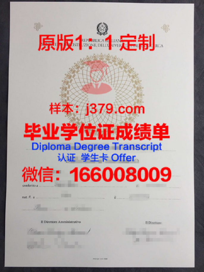 蒂鲁吉拉伯利国家技术学院成绩单:展现卓越教育成果的瑰宝