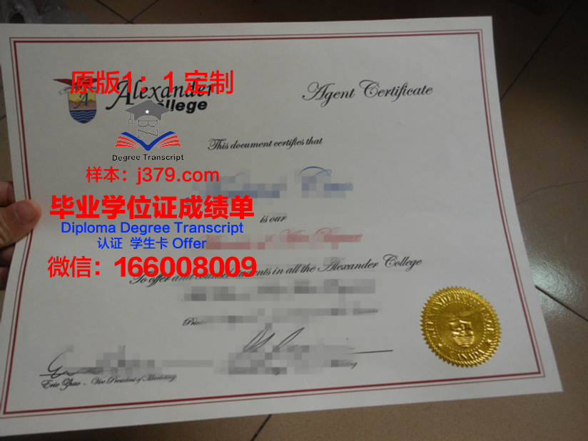 山大毕业证封面：承载荣誉与梦想的符号