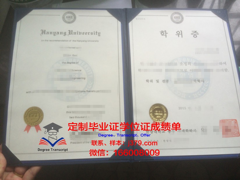 雷蒙马赛科技大学硕士学位证：一份国际认可的学术荣誉