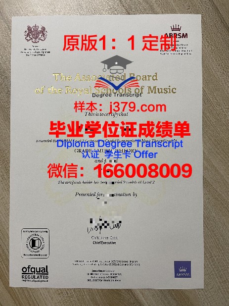 雷昂那多达芬奇高等工程师学院毕业证书(雷奥纳多达芬奇)