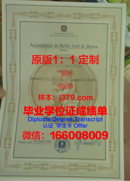 雷焦卡拉布里亚美术学院研究生毕业证(布雷拉美术学院研究生几年制)
